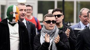 Bird flu confirmed in flock of 30,000 turkeys in Co Laois