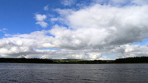 Construction of 14 steps and ramp for Dublin park cost over €750k