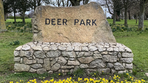 Rowing Ireland refused planning permission for centre in Co Wicklow due to impact on wild geese