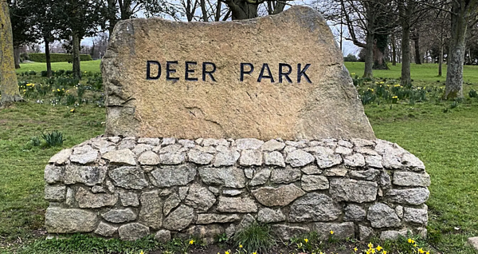 Construction of 14 steps and ramp for Dublin park cost over €750k