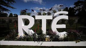 Departure of RTE’s chief financial officer ‘a big loss’ – Media Minister