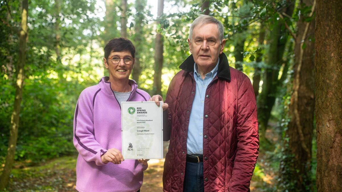 Final call for Forest and Woodland Awards entries as Waterford champions recognised