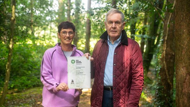 <p>Crough Wood - Community Woodland Winners in last year's awards.</p>