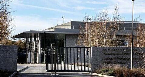 Mother was not insane at time she allegedly attacked daughter with knife, psychiatrist tells trial