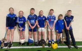 The standard of hurling in the Bcukley Cup has been fantastic