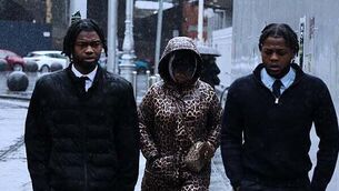 This eco-friendly new build in Greystones is peak modern convenience