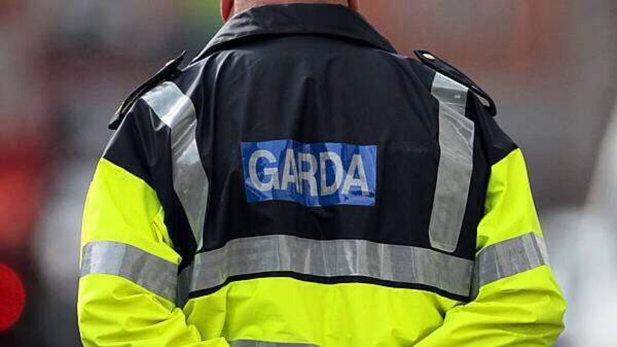 Garda operation results in deportation of 25 non-Irish sex offenders