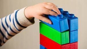 Fine Gael candidate drops out of local elections after planning allegations