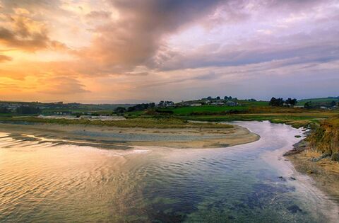 Lobbying disclosures: IFA says farmers unjustly blamed for Waterford river pollution; Chamber of Commerce courts EU