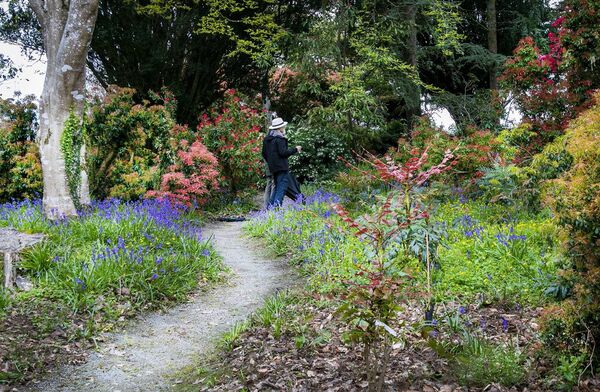 The Japanese Gardens are one of many beautiful attractions in Tramore