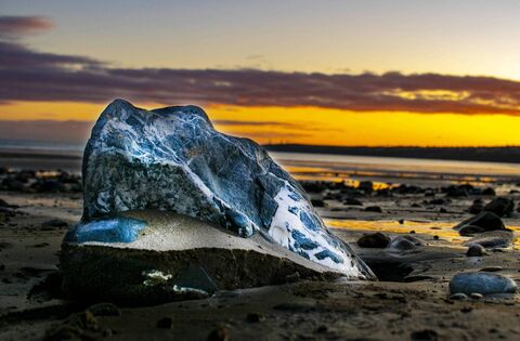 Local Notes: Sympathies, road bowling, Japanese Gardens and more