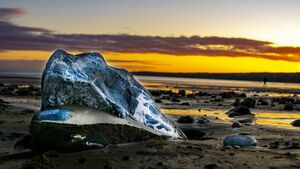 Local Notes: Sympathies, road bowling, Japanese Gardens and more