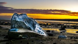 <p>There are lots of things happening in Tramore</p> <p>There are lots of things happening in Tramore</p>