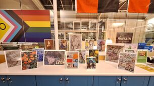 <p>Ayona's art display at Ardkeen Library</p>