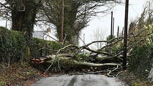 Homes worst impacted by Storm Éowyn dealing with constant power cuts