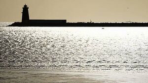 Man (80s) dies in stormy water off south Dublin coast