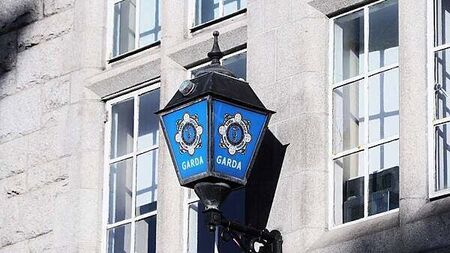 Gardaí deport 33 EU nationals to Poland and Lithuania