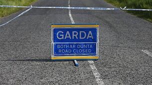 Government urged to provide long-term immigration solutions as polls reflect public unrest