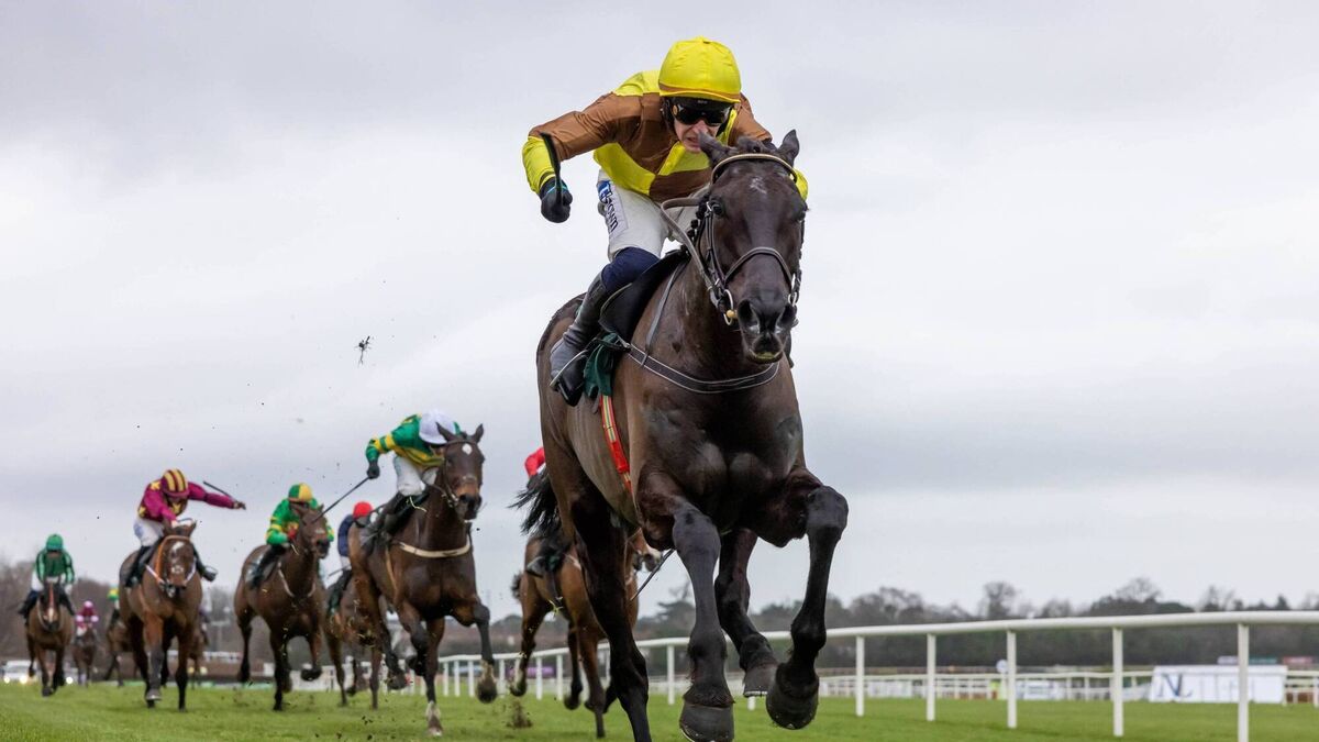 Titans set to collide at the Dublin Racing Festival