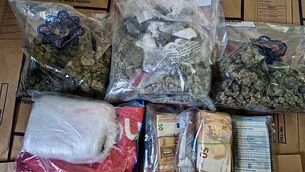 Fota Wildlife Park announces birth of two endangered Northern cheetah cubs