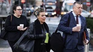 Challenge by Martin 'Viper' Foley and wife against seizure of goods by Dublin City Sheriff struck out