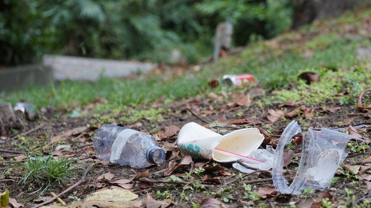 Waterford council advise the public not to sift through rubbish looking for evidence
