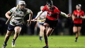 GAA: Darragh McCarthy helps UL to Fitzgibbon semi-finals