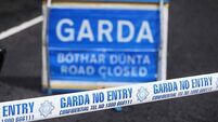 Pedestrian (70s) dies after being struck by car in Co Laois