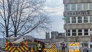 Hertz ordered to pay €10k to blind person after €150 valet charge to clean up guide dog hair