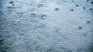 <p>It's expected there will be more heavy rainfall showers across Friday, January 30</p> <p>It's expected there will be more heavy rainfall showers across Friday, January 30</p>