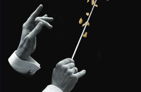 View from the Green Room: SETU remembers Deirdre Scanlon