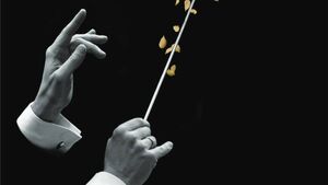 View from the Green Room: SETU remembers Deirdre Scanlon