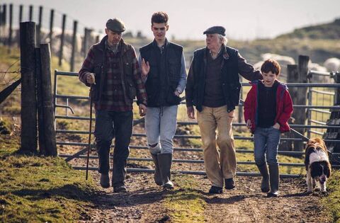 Irish farming remains resilient, but red tape and financial blind spots pose biggest threat