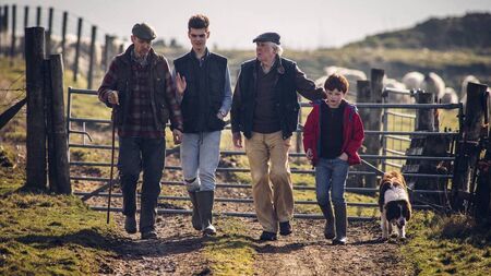 Irish farming remains resilient, but red tape and financial blind spots pose biggest threat