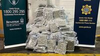 €10m worth of cannabis seized in Co Louth as three men arrested