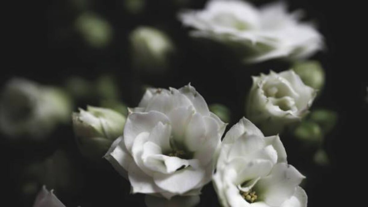 Recent deaths of people from Waterford city and county
