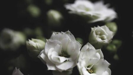 Recent deaths of people from Waterford city and county