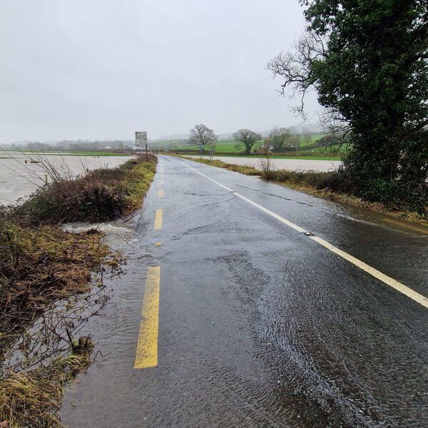 Old Portlaw Road. Old Portlaw Road.