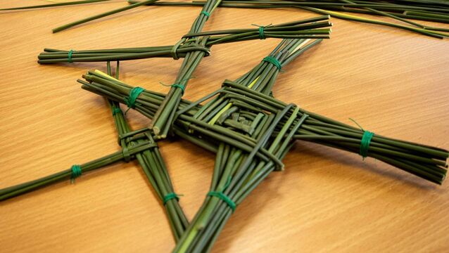 Fr Liam Power: Celebrating the feast of St. Brigid 