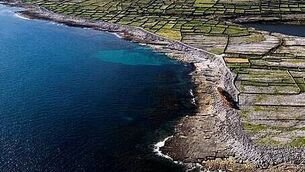 Record number of people in international protection system died last year