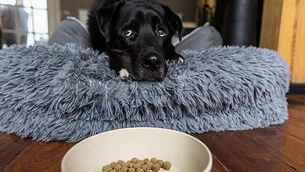 Ballincollig in Cork named Ireland's Tidiest Town for 2024