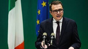 Horses on land holding up work on €55m Tipperary housing project, court told