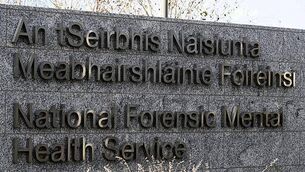 China expansion helps Murphy's Ice Cream scoop tasty profits of €213k