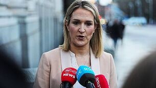 Stay alert for unwanted rodents this Christmas, Rentokil says