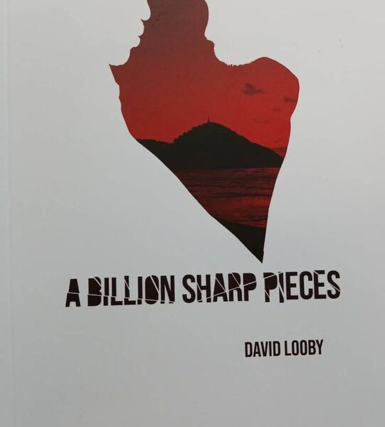 'A Billion Sharp Pieces' by David Looby will be officially launched in New Ross public library on February 28