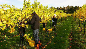 President and Taoiseach lead tributes to Brother Kevin Crowley