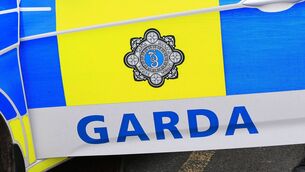 <p>Mr Farrell was sentenced for impersonating a garda in January 2024.</p>