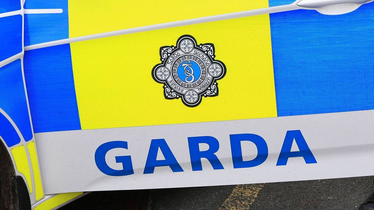 Worker who lost job after being jailed for impersonating garda takes unfair dismissal case
