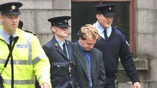 Warning as toxic plant found on Co Meath beaches