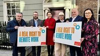 ‘State needs to lead’ on right to work remotely – Labour TD